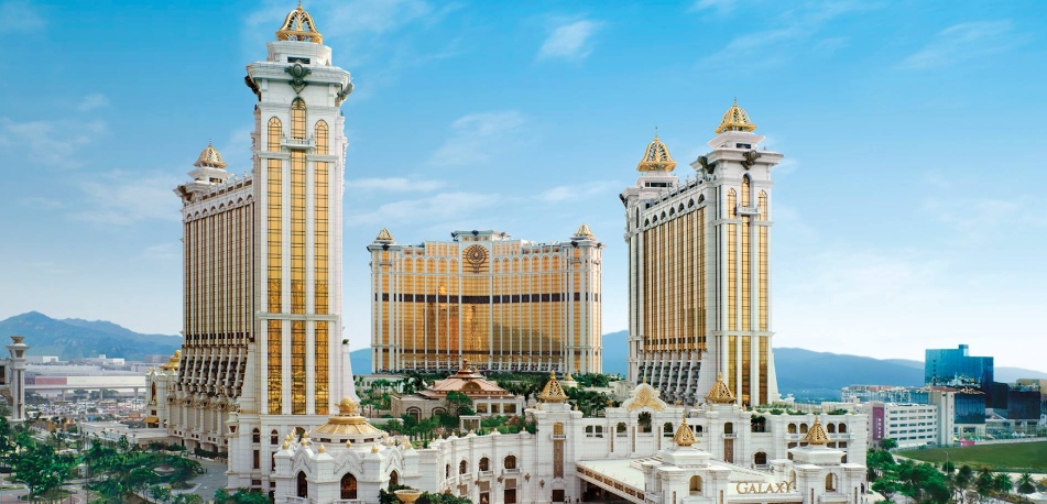 金吉拉缺點大揭密!你真的瞭解這種貓咪的真實面貌嗎?